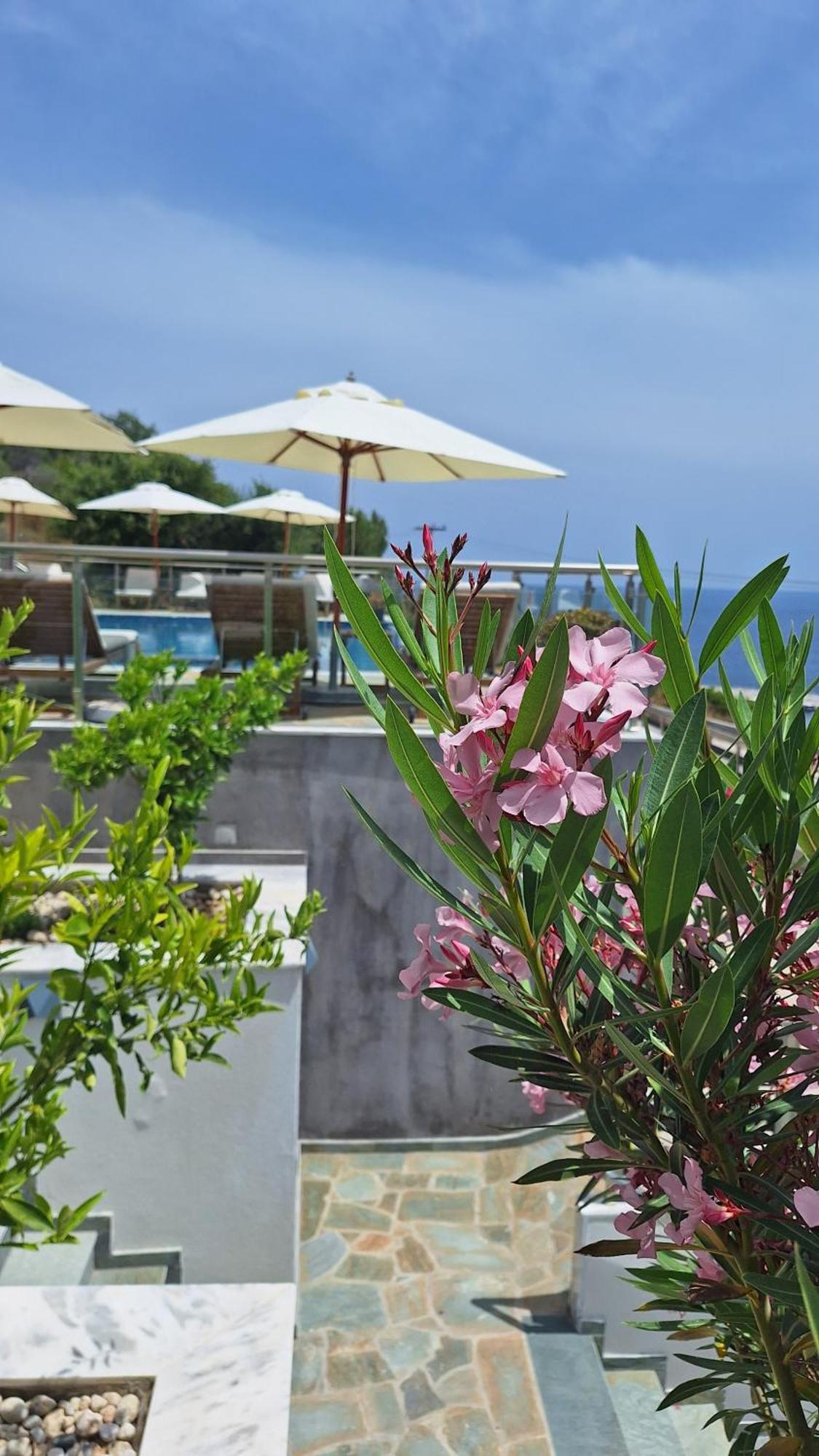 Hotel Sarti Thea Exterior foto
